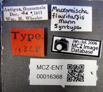 Media type: image;   Entomology 16368 Aspect: labels